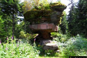 Kastelstein Bad Rippoldsau