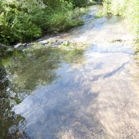 Abkühlung gefällig? Der Reichenbach direkt zugänglich von unserm Garten.